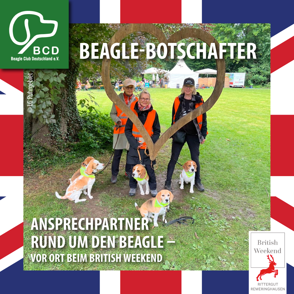 CSS 03 2026 Austausch