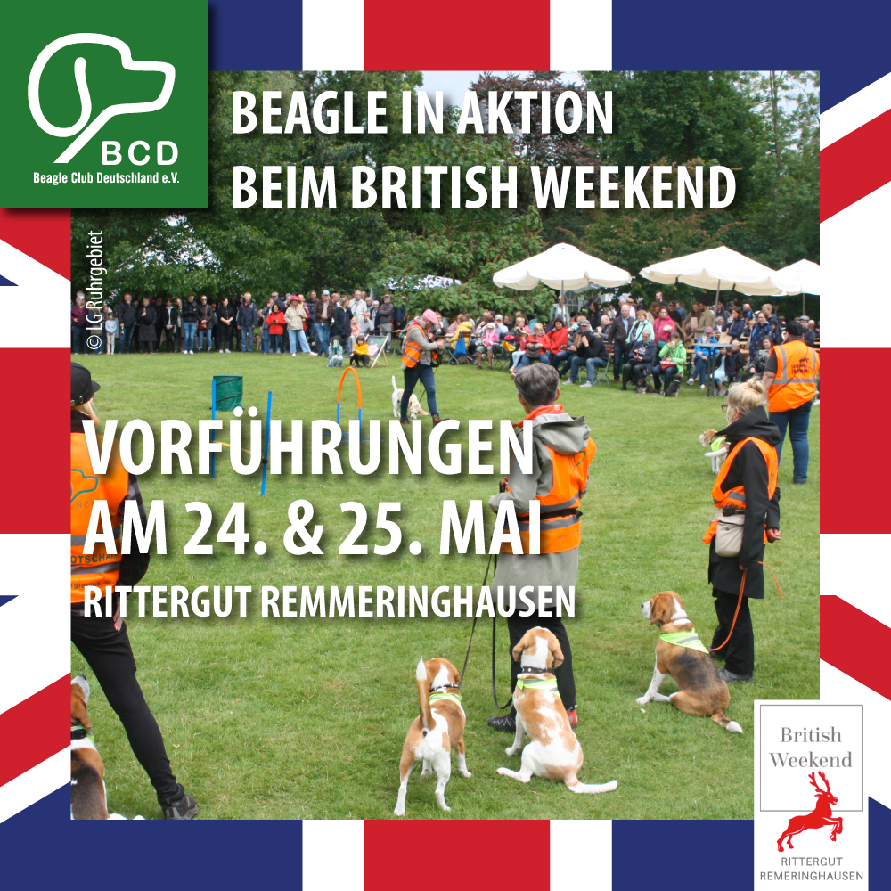 CSS 04 2026 Vorfuehrungen