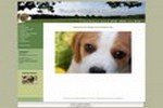 www.beagle-potsdam.de/