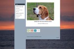 www.beagle saartal.de