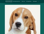 www.beaglepassion.com