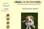 www.beagles-von-der-geierswacht.de/