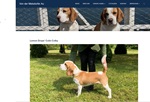 www.beagles-von-der-melsdorfer-au.de