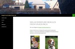 www.beagles from vivids pack.de