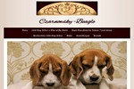 www.czarnowsky beagle.de