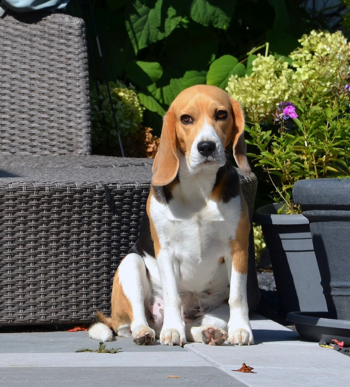 96b53f56 9145 4aed abaf 630c65ee3f94