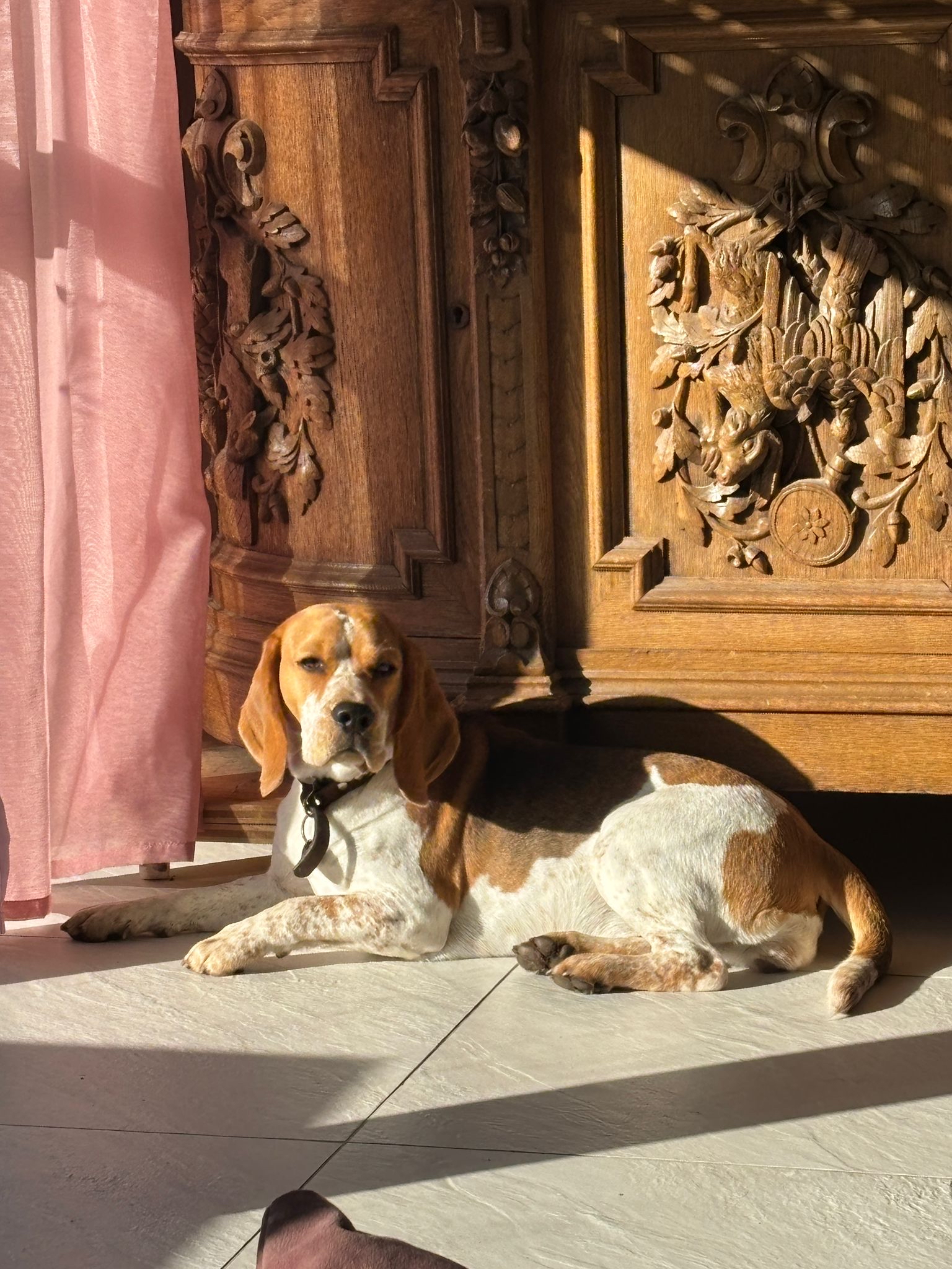 de10701d 1525 4ef2 b602 1d8501bb7a4b